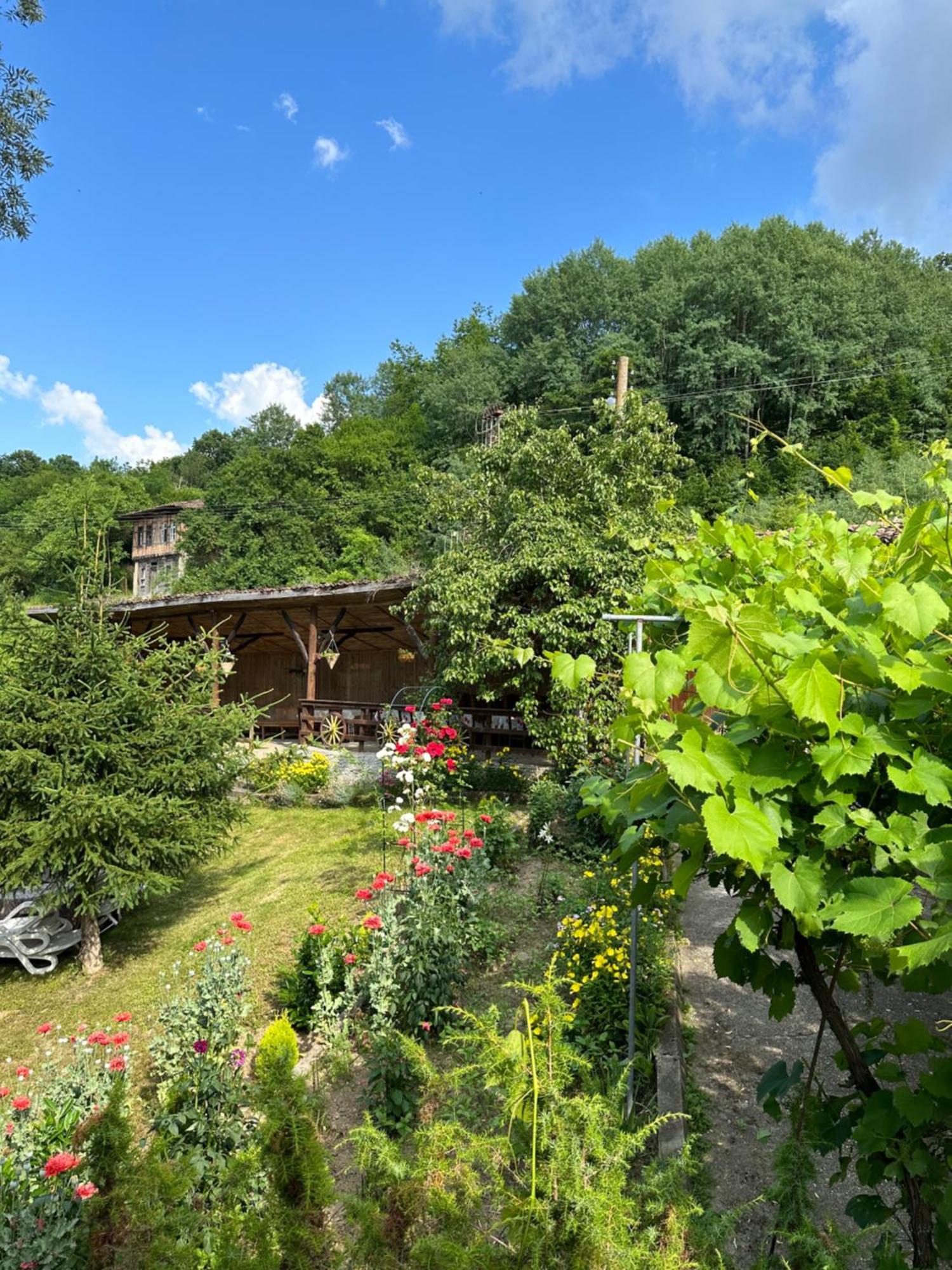 Вила Чевермето Palitsi Exterior foto