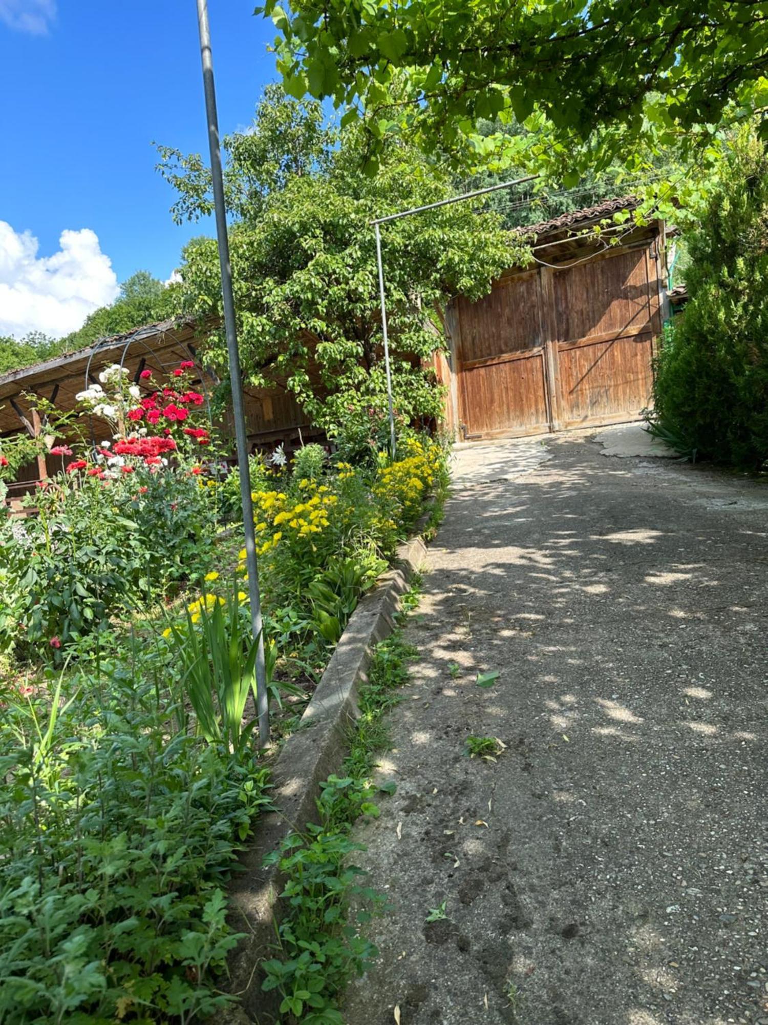 Вила Чевермето Palitsi Exterior foto