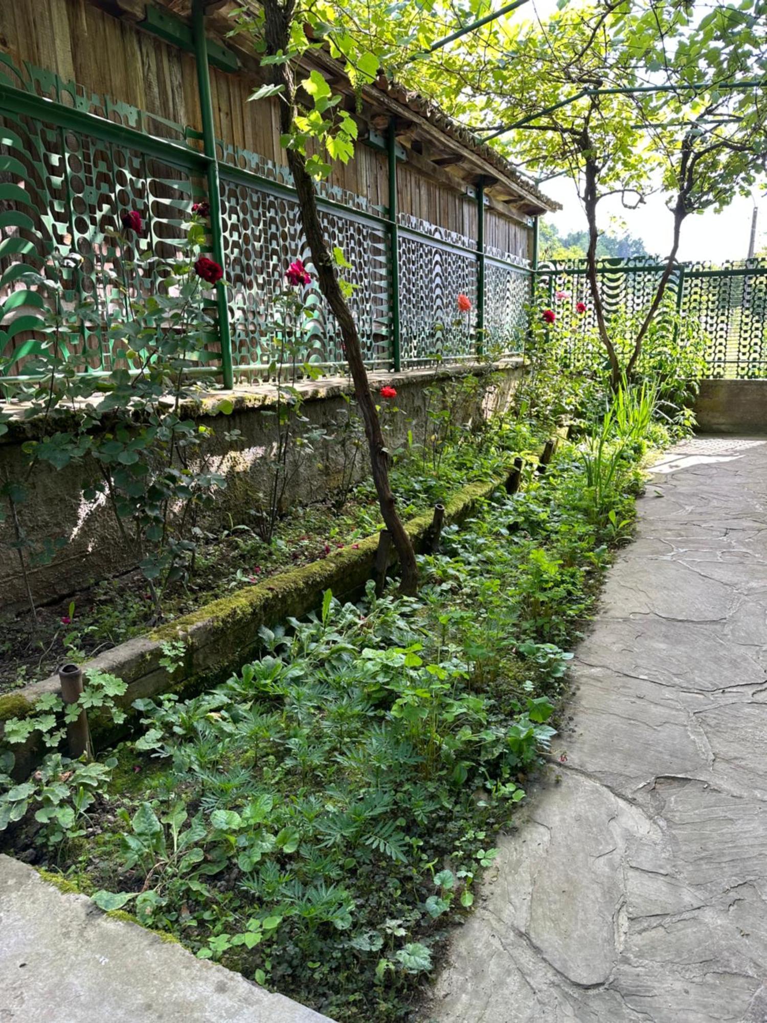Вила Чевермето Palitsi Exterior foto