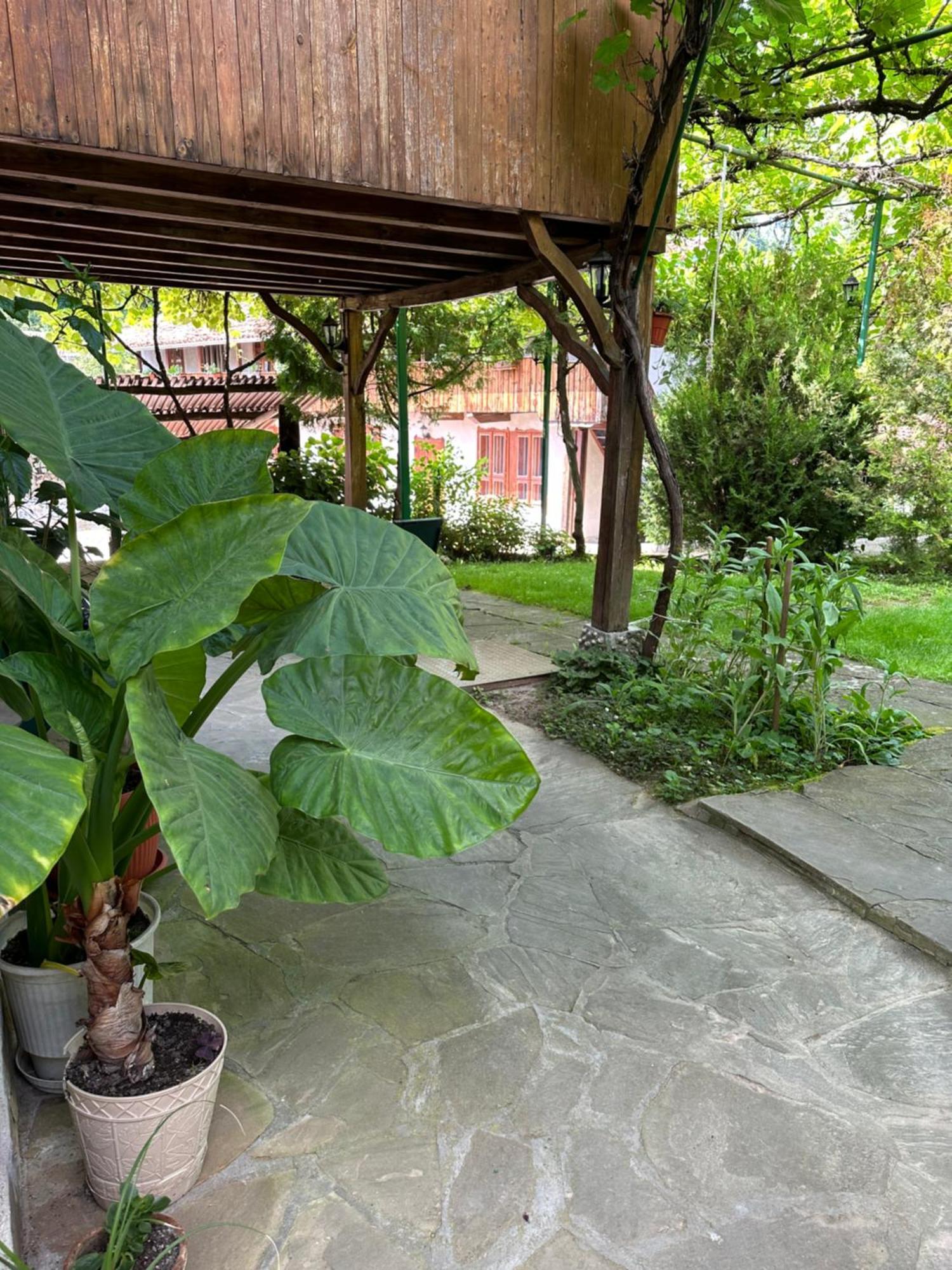 Вила Чевермето Palitsi Exterior foto