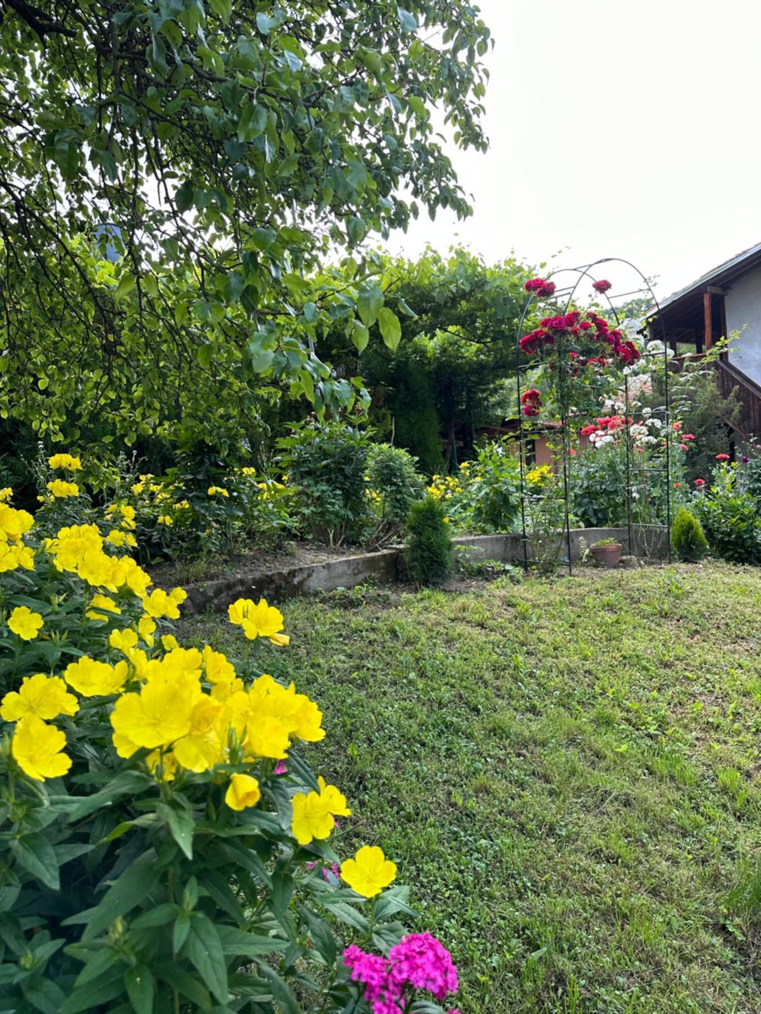 Вила Чевермето Palitsi Exterior foto
